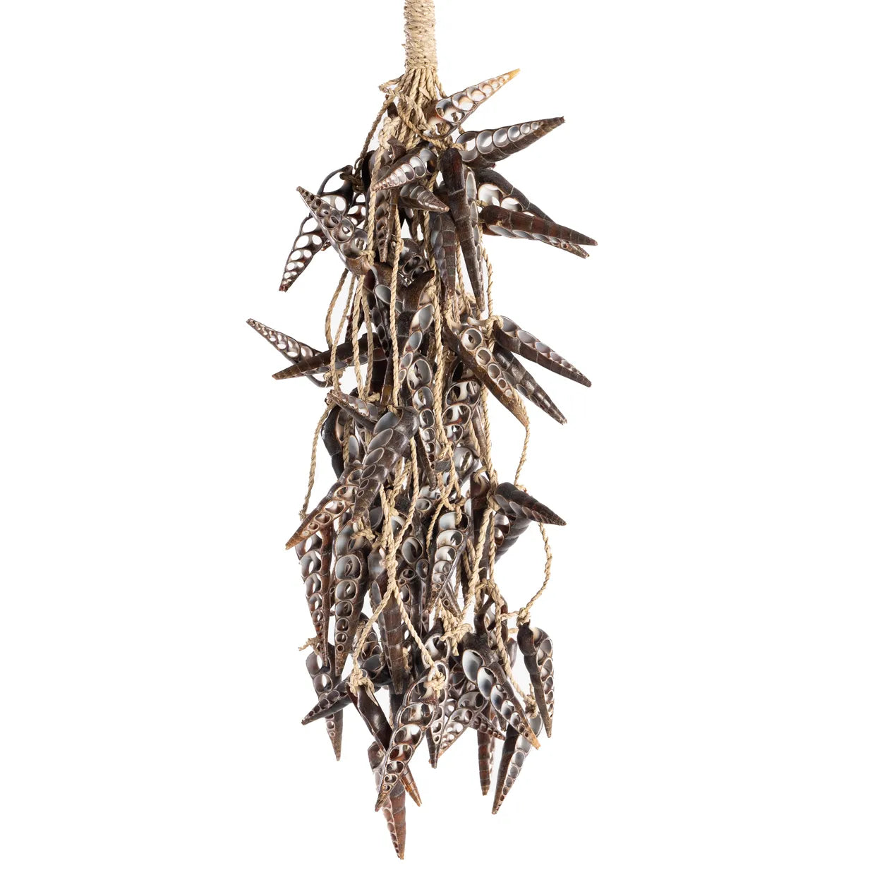 Pinceau coquillage licorne - Marron 2 pièces