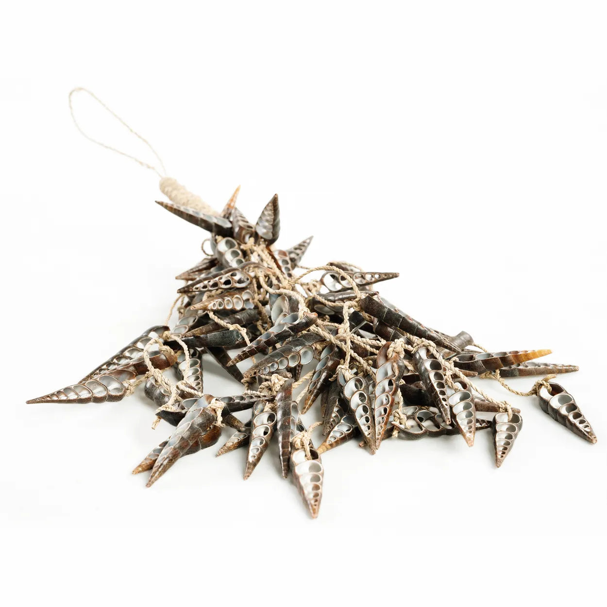 Pinceau coquillage licorne - Marron 2 pièces