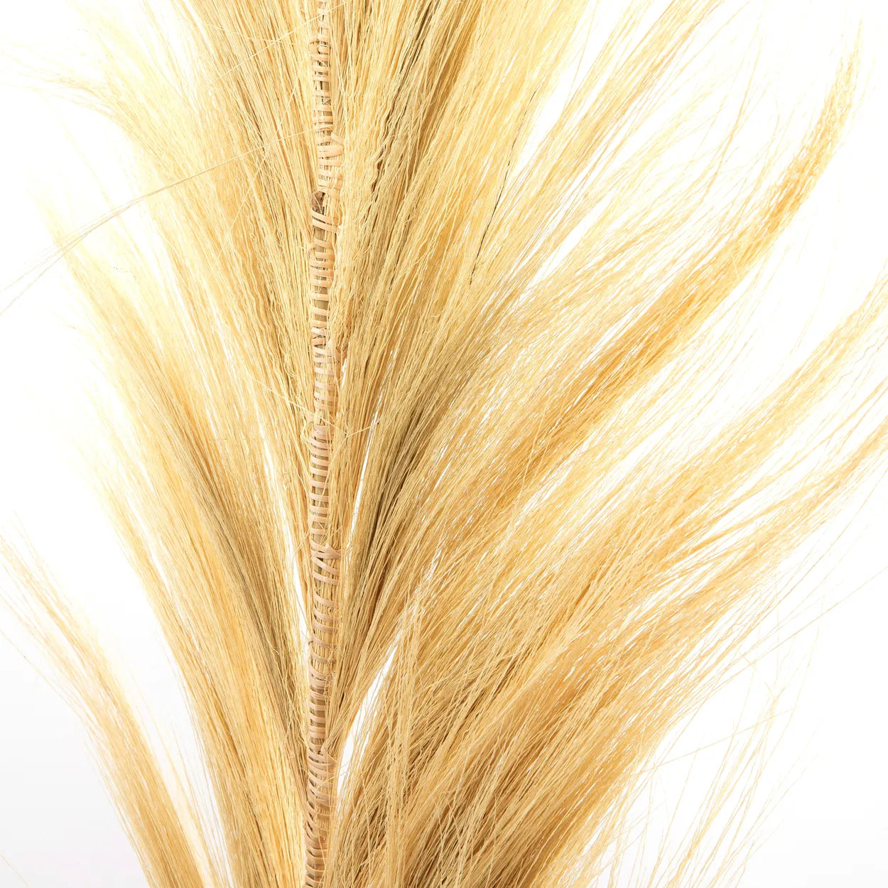 La Belle Feuille - Naturel - Lot de 6