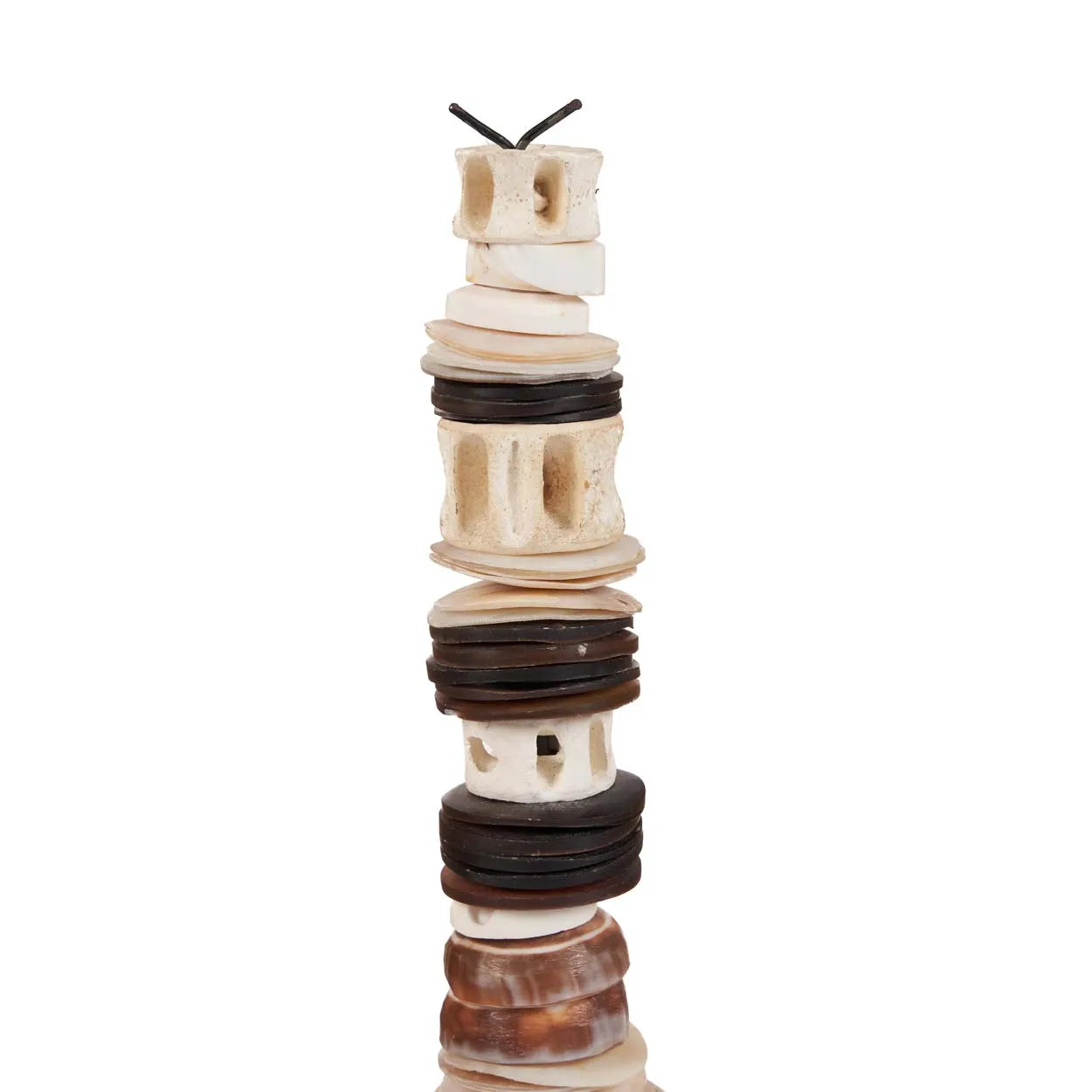 The Money Shell on Stand - Black and White - L