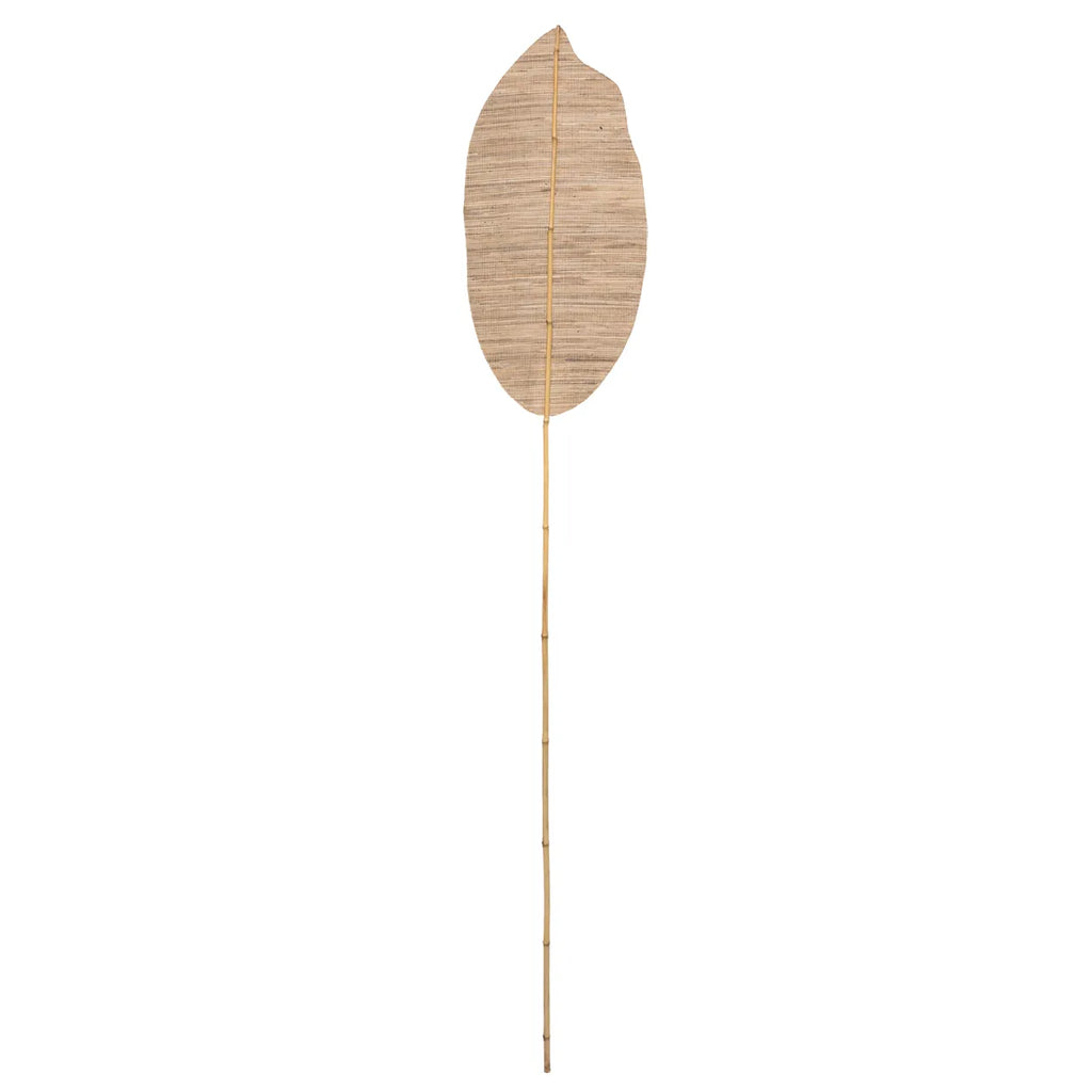 De Ayung-rivier Paddle - Natuur