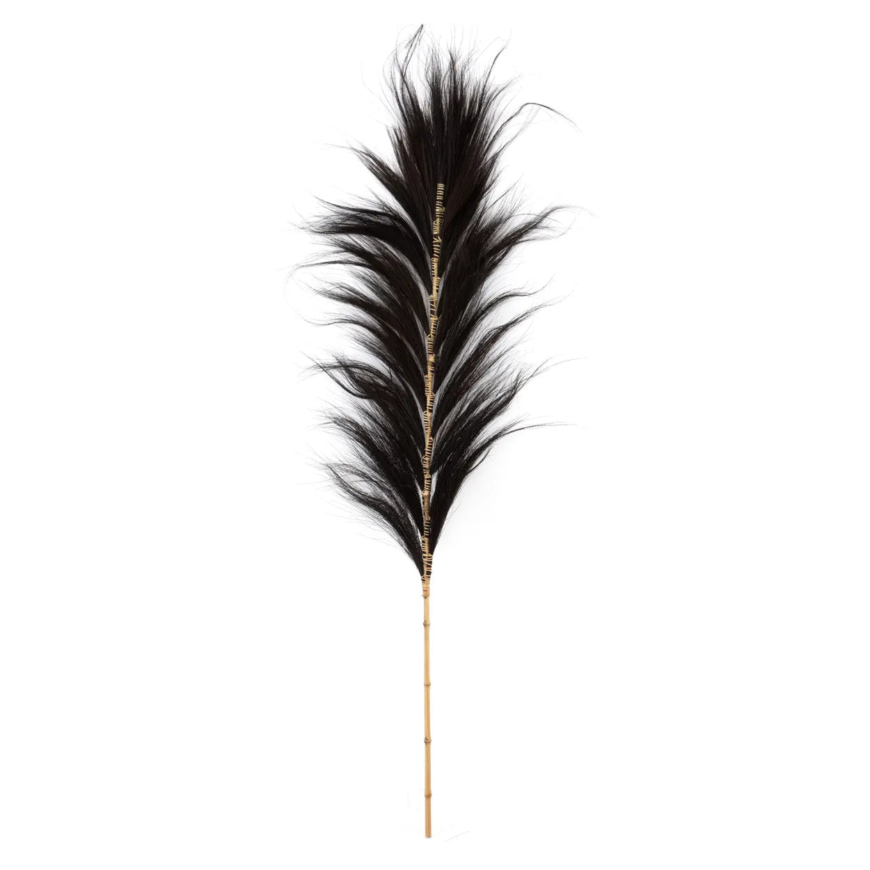 La Belle Feuille - Noir - Lot de 6
