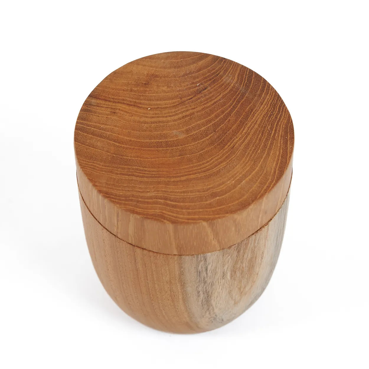 Le pot à racines de teck bas - M