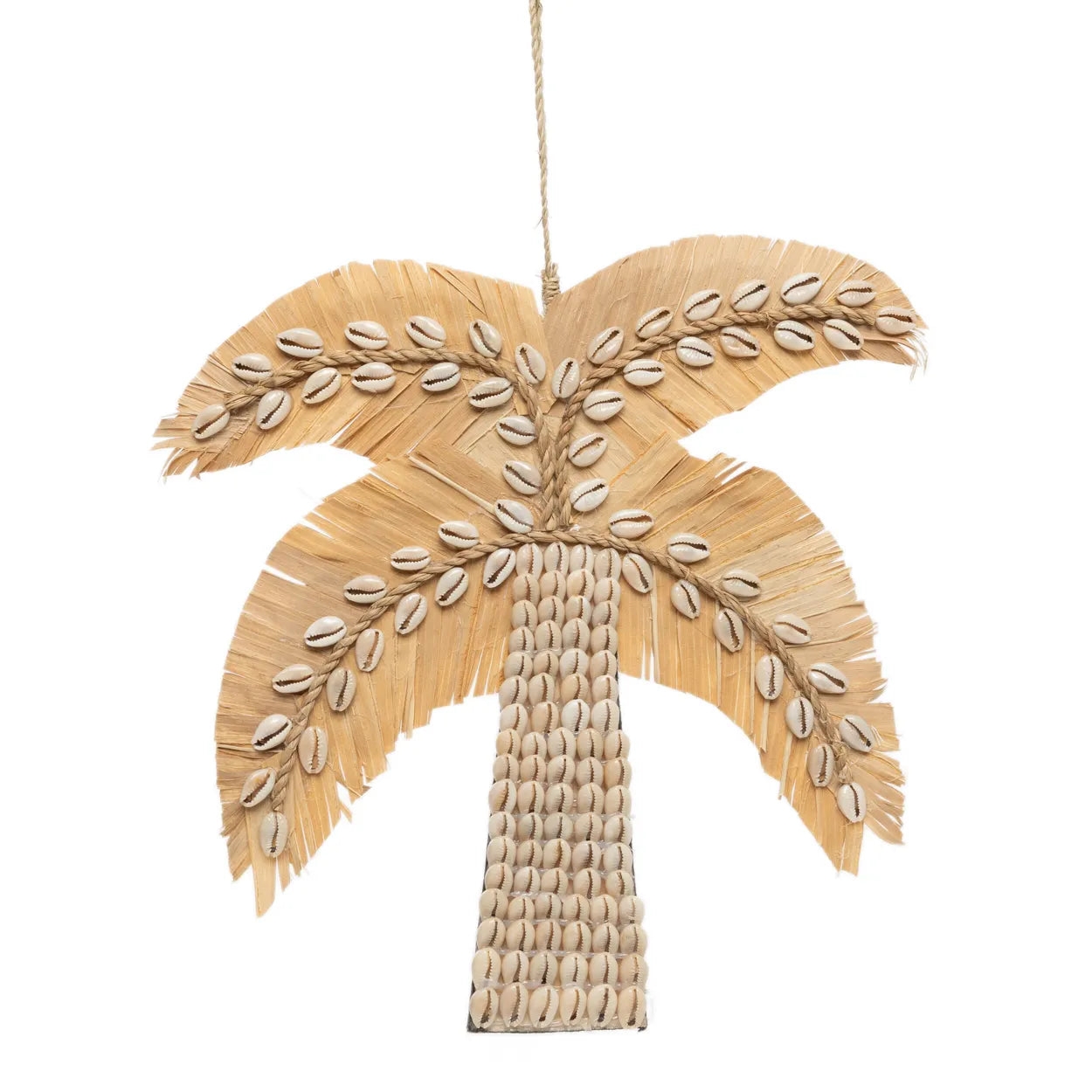 The Banana Peel Palm Tree - Natural