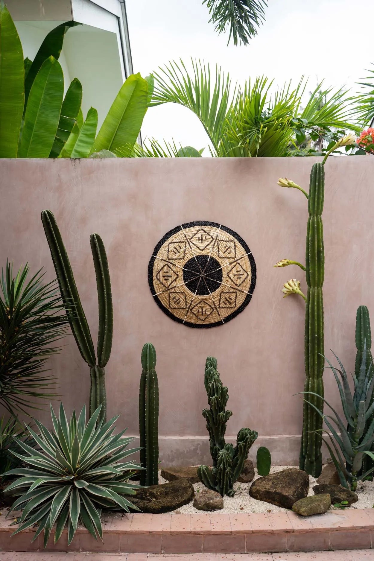 The Cozumel Plate - Medium_40