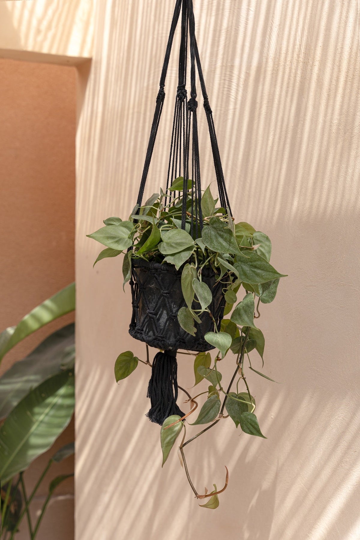 De Macramé Plantenhanger - Zwart - M_40