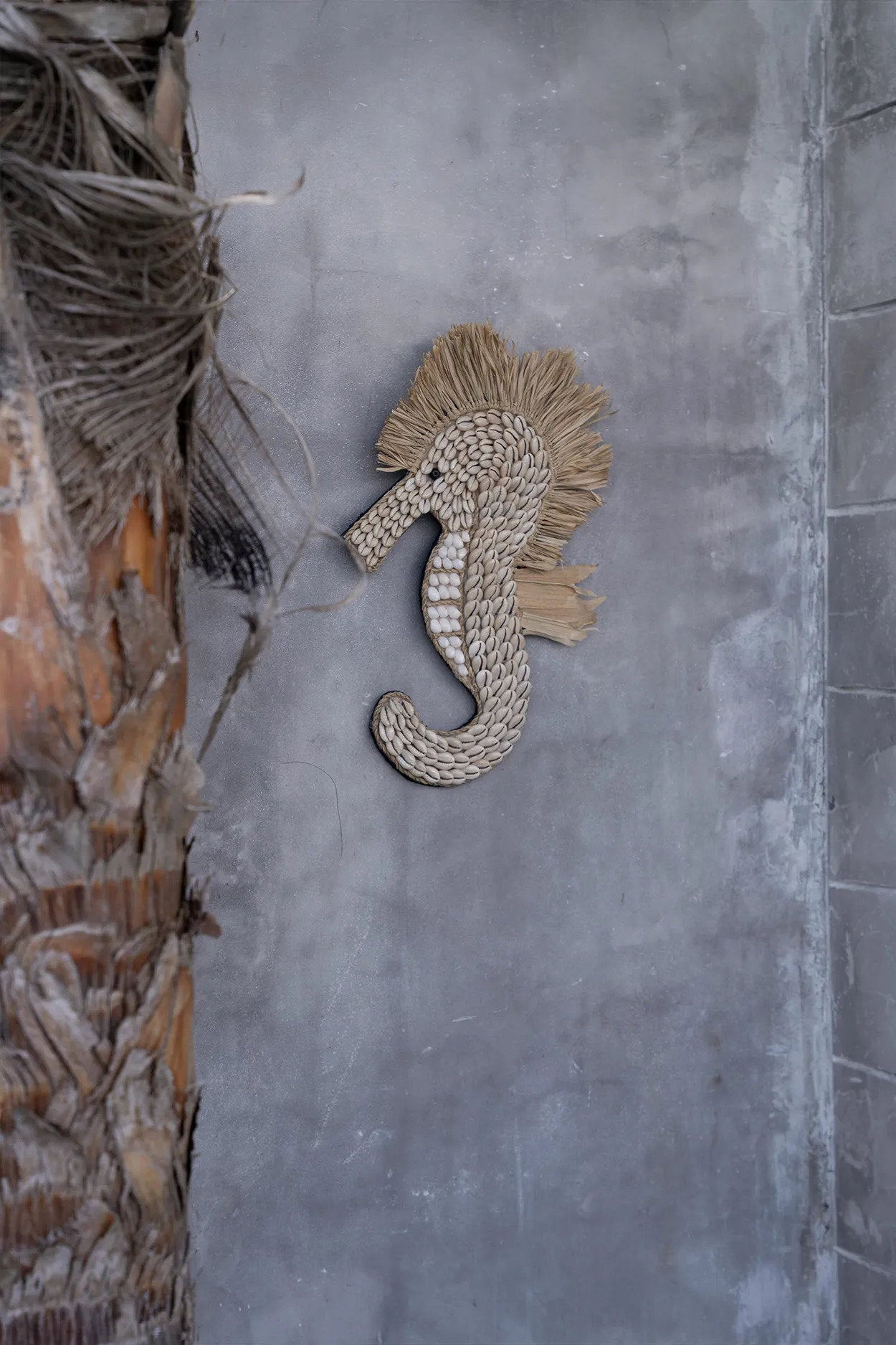 L'hippocampe coquillage - Blanc