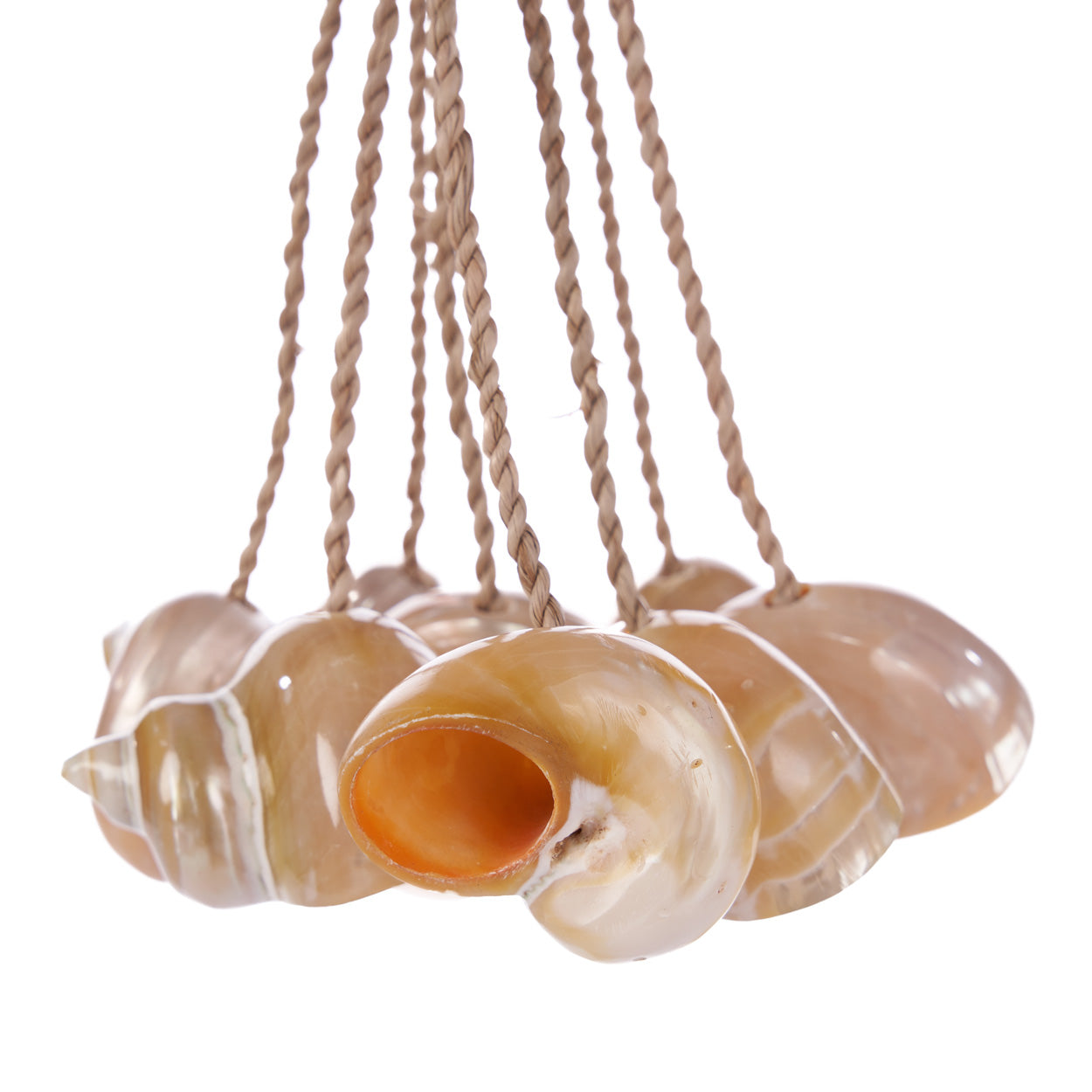 Conchschelpkwast - naturel