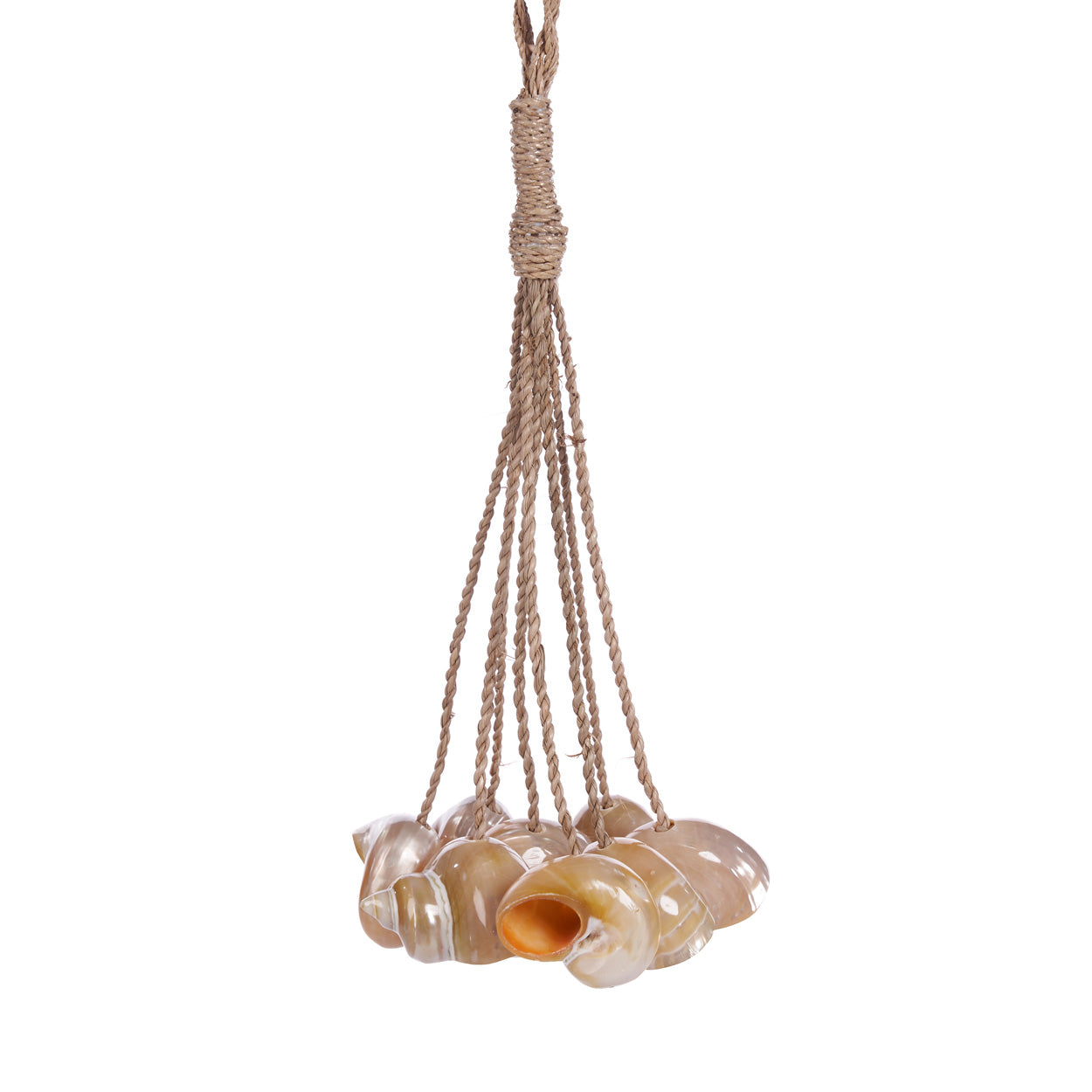 Conchschelpkwast - naturel