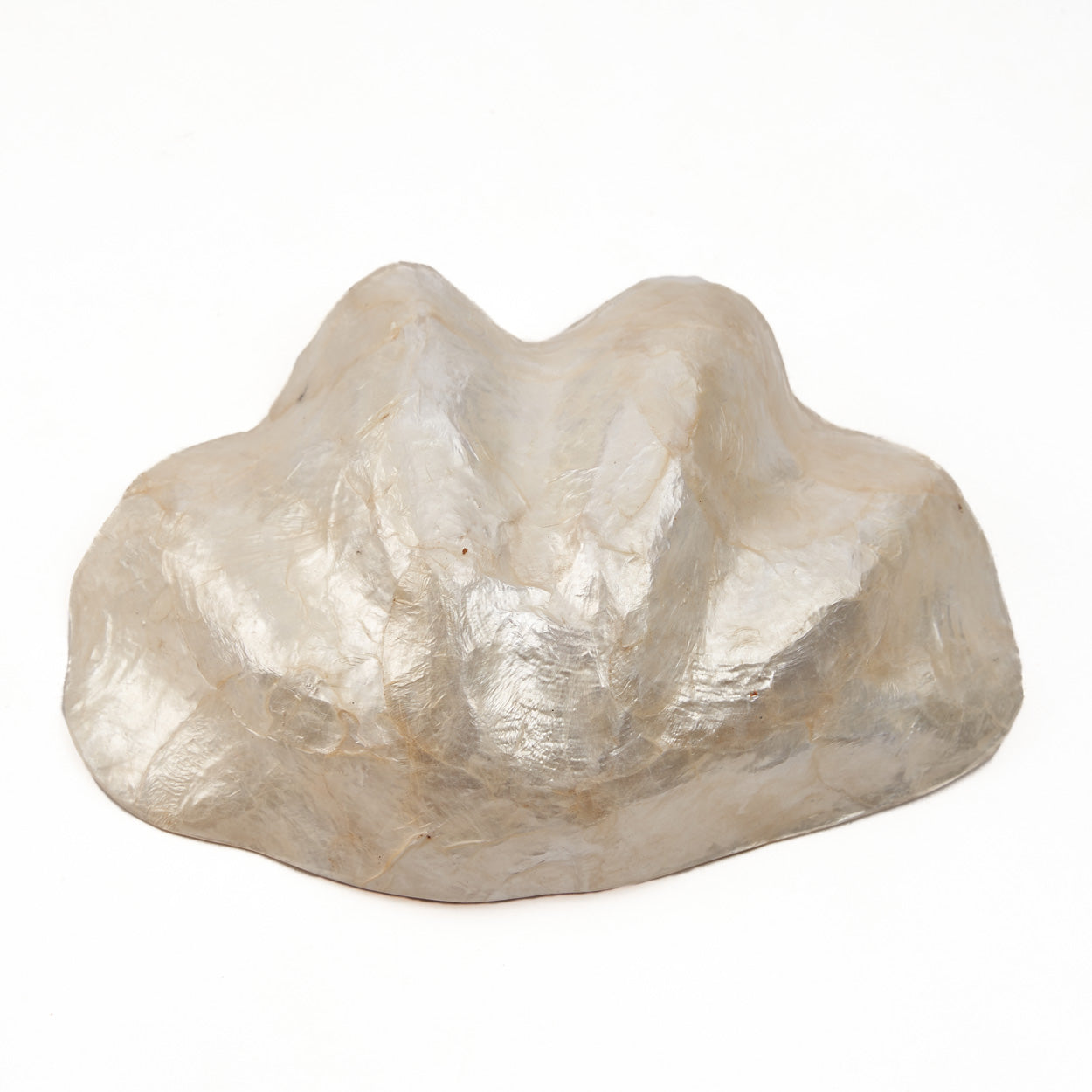 The Mother of Pearl Soap Dish - White - S