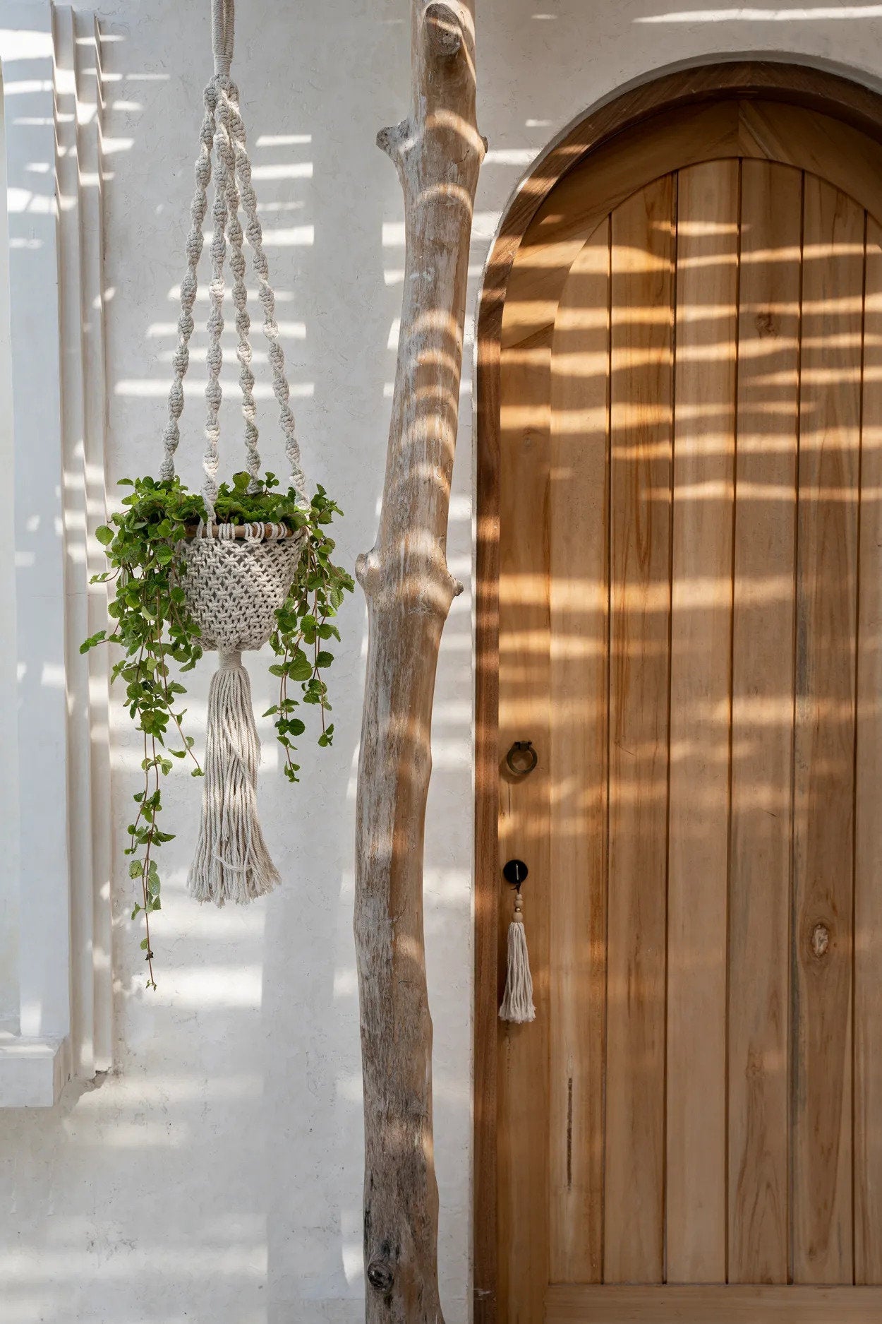 De Verdraaide Macramé Plantenhanger - Natuurlijk Wit - S