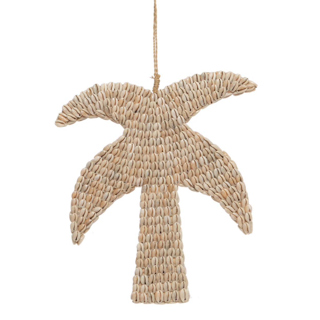 The shell palm tree - Natural