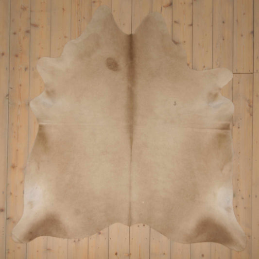Uniquely Photographed Champagne Cowhide | CH-038