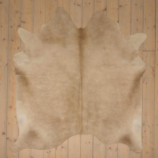 Uniek gefotografeerde champagne koeienhuid | CH-044