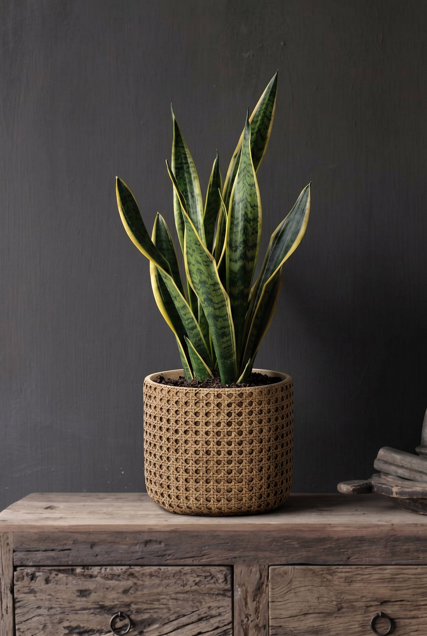 RattanRock plantenbak - naturel - L