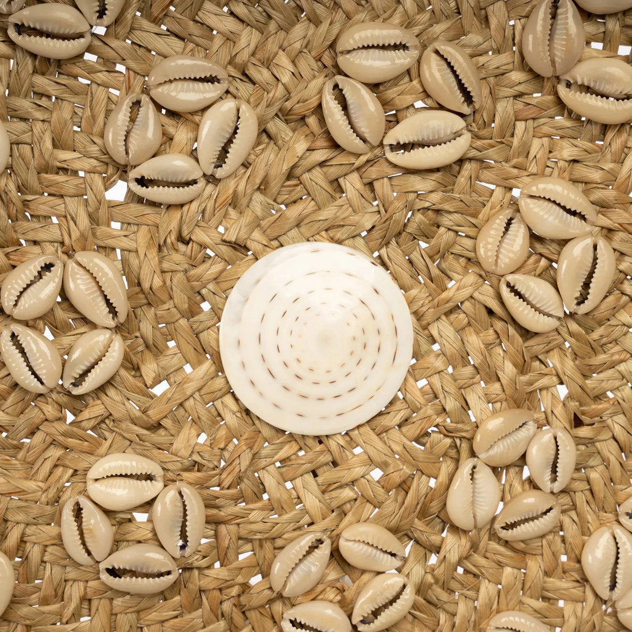 De Caribe Shell Plate Naturel Wit M