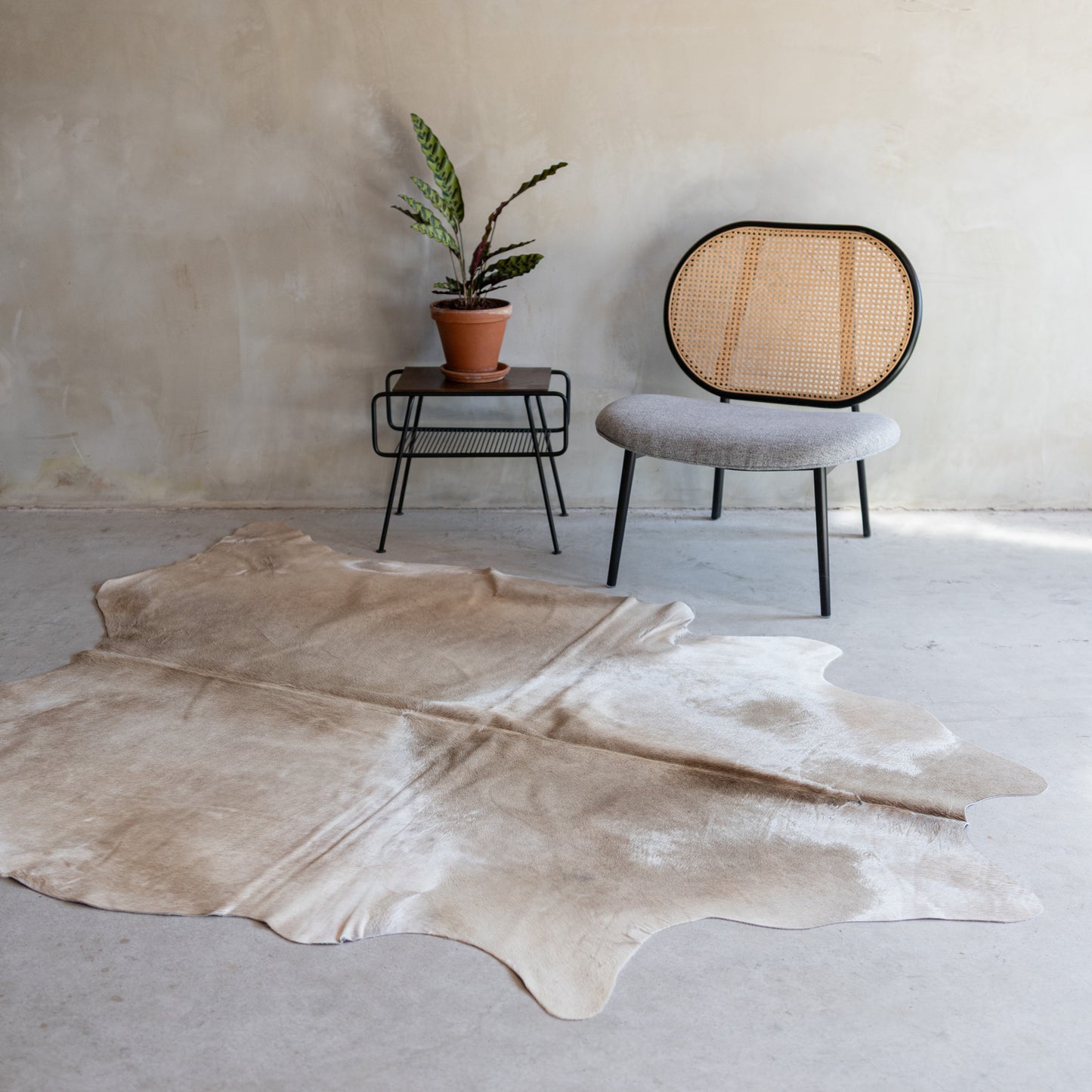 Koeienhuid champagne - 3-4m² - KH-006