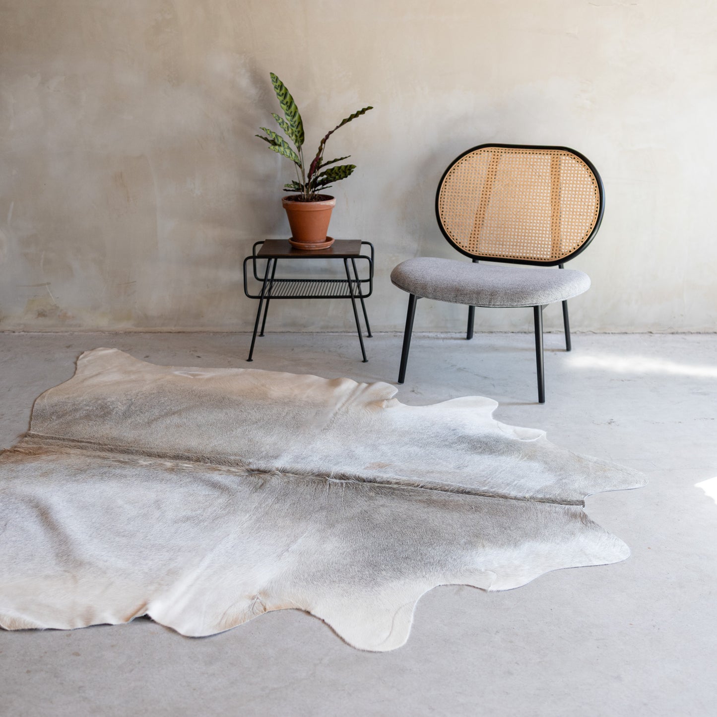 Koeienhuid grijsbeige - 3-4m² - KH-038