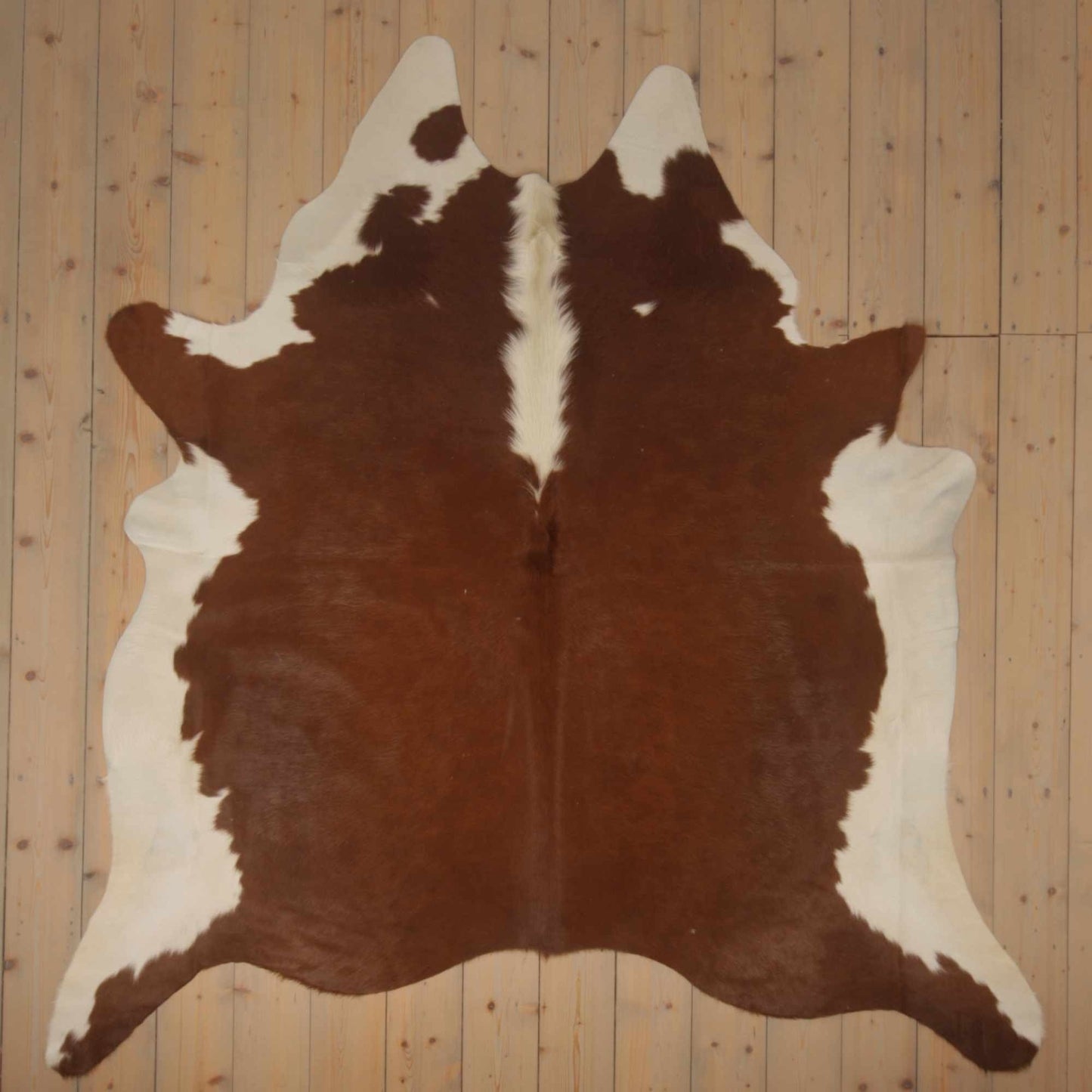 Uniek gefotografeerde roodbonte koeienhuid | RB-012