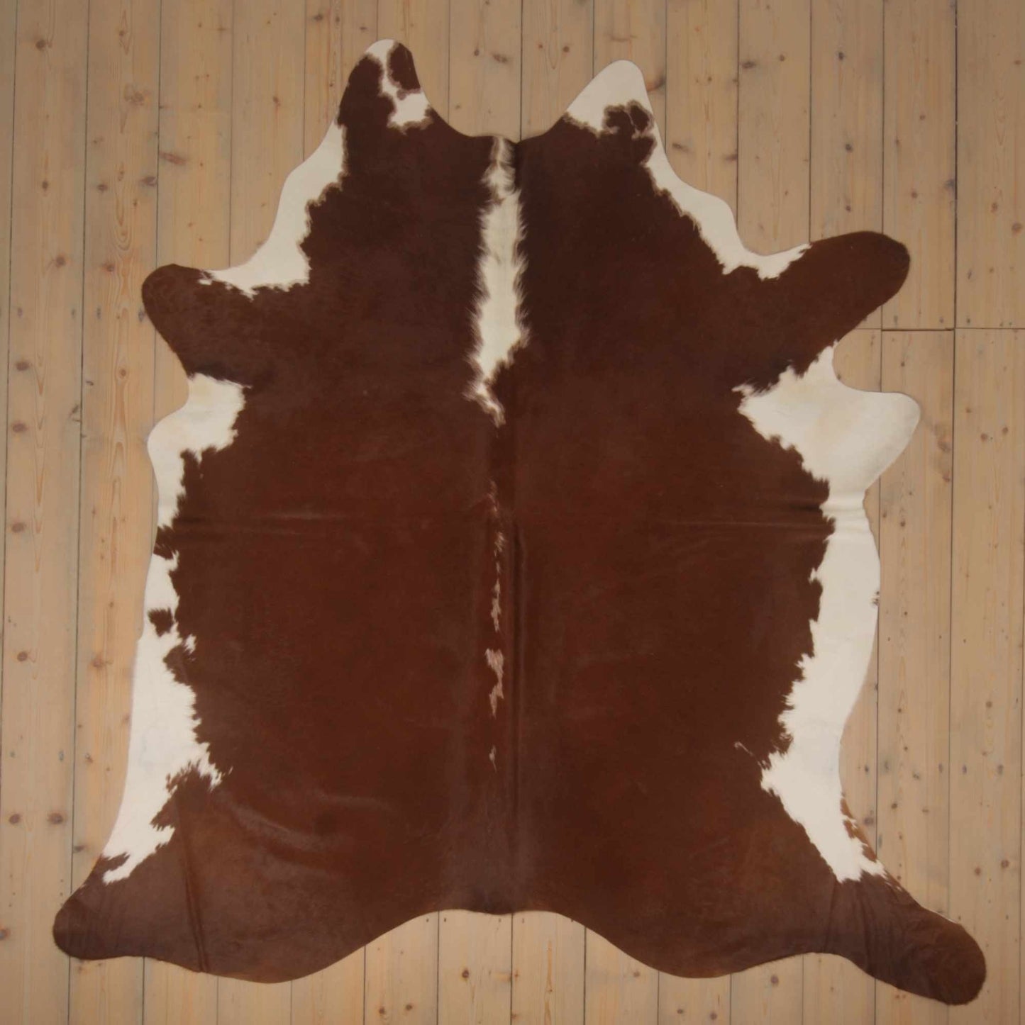 Uniek gefotografeerde roodbonte koeienhuid | RB-018