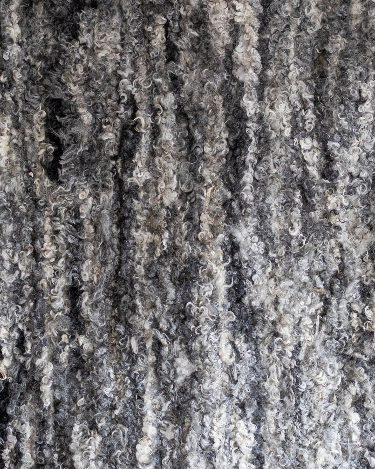 Uniek gefotografeerd schapenvacht Tapijt Gotland - 200x160cm