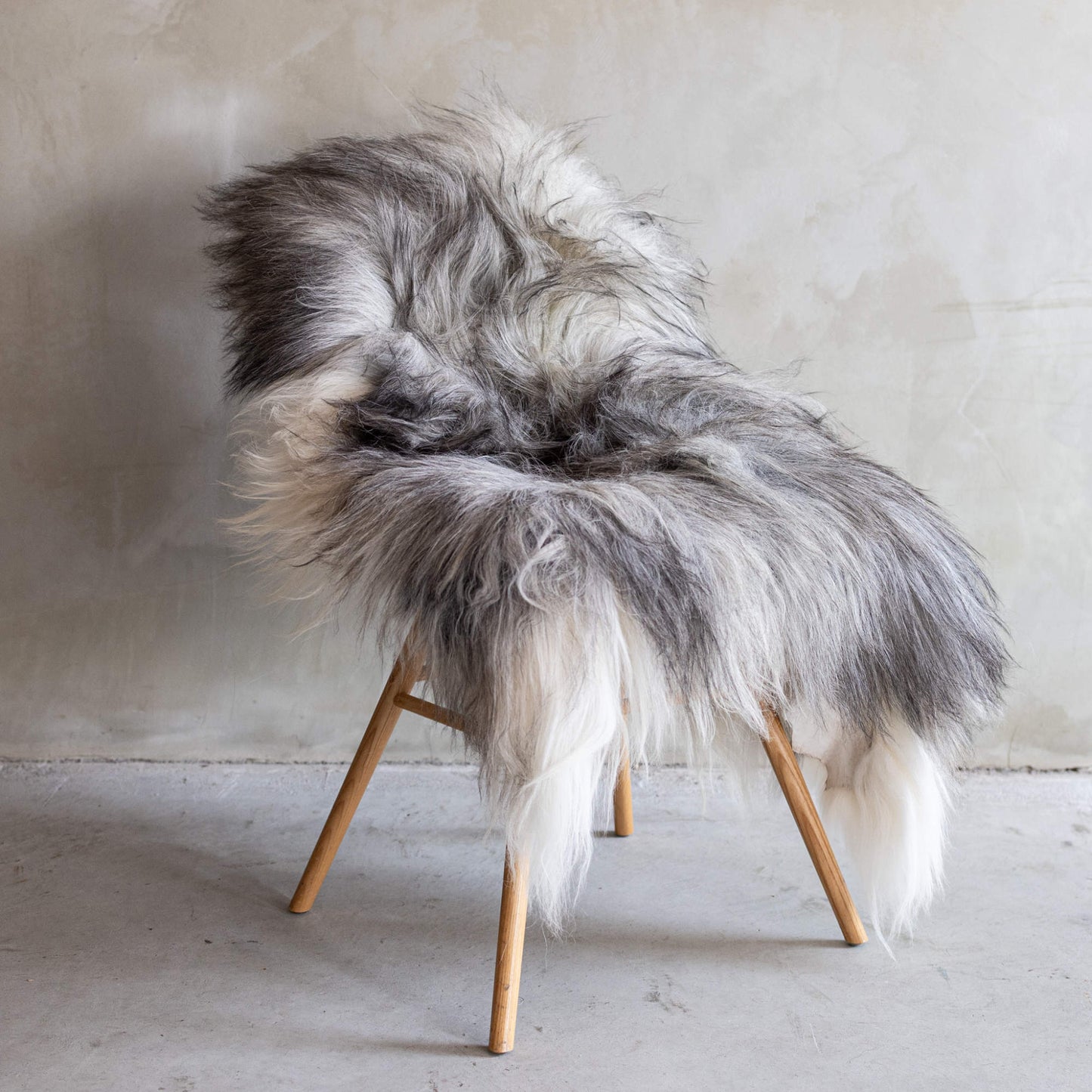 IJslandse schapenvacht XXL - Natuurlijk grijs - ca. 110x77cm - SVV-439