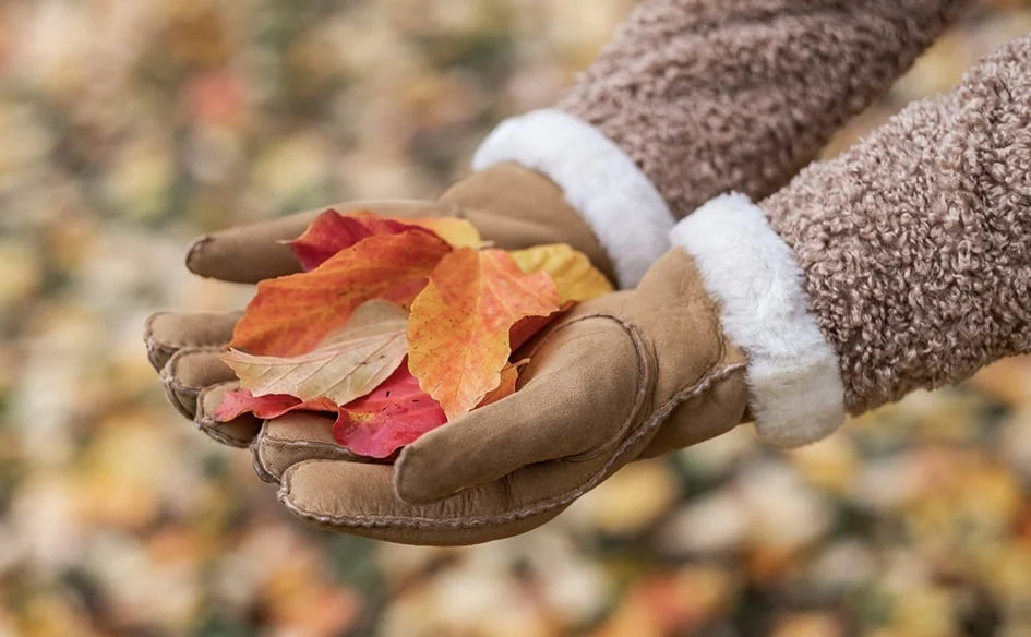 Lamsleren Dameshandschoenen - Camel - Maat L