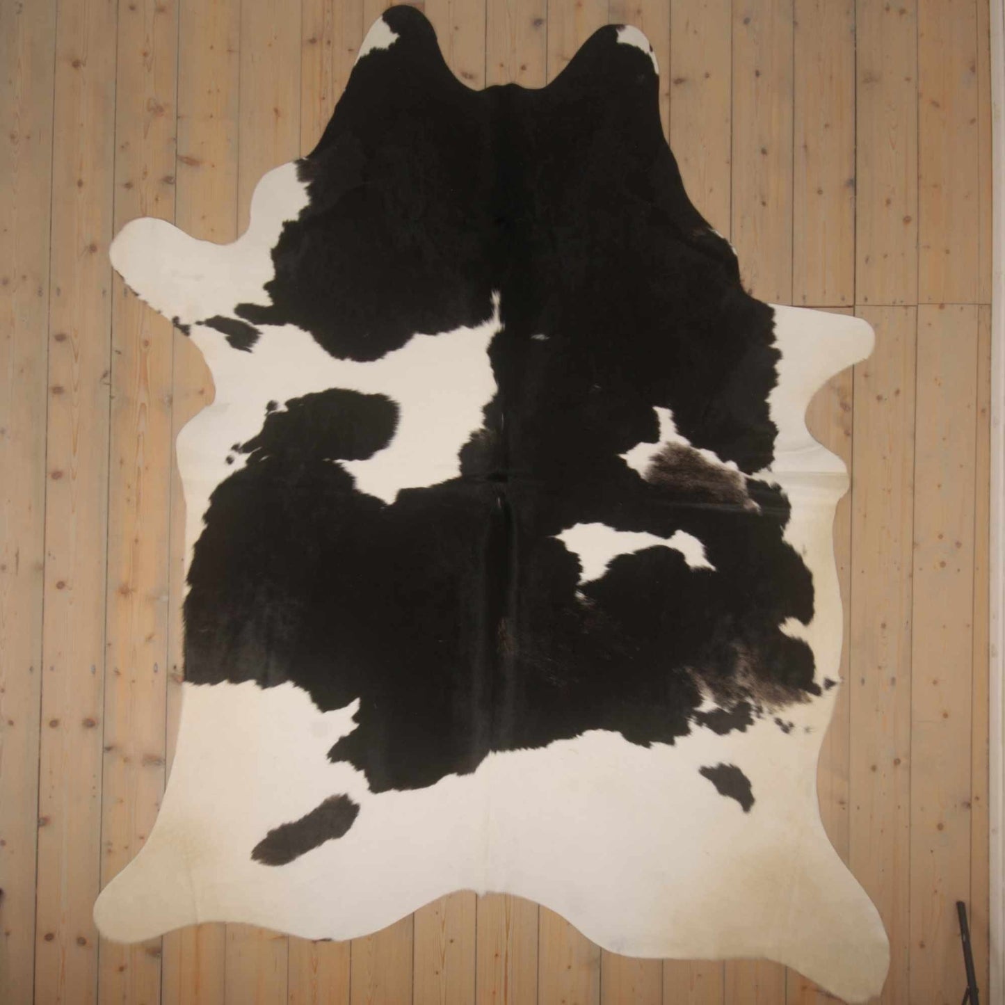 Uniek gefotografeerde zwartbont koeienhuid | ZW-010