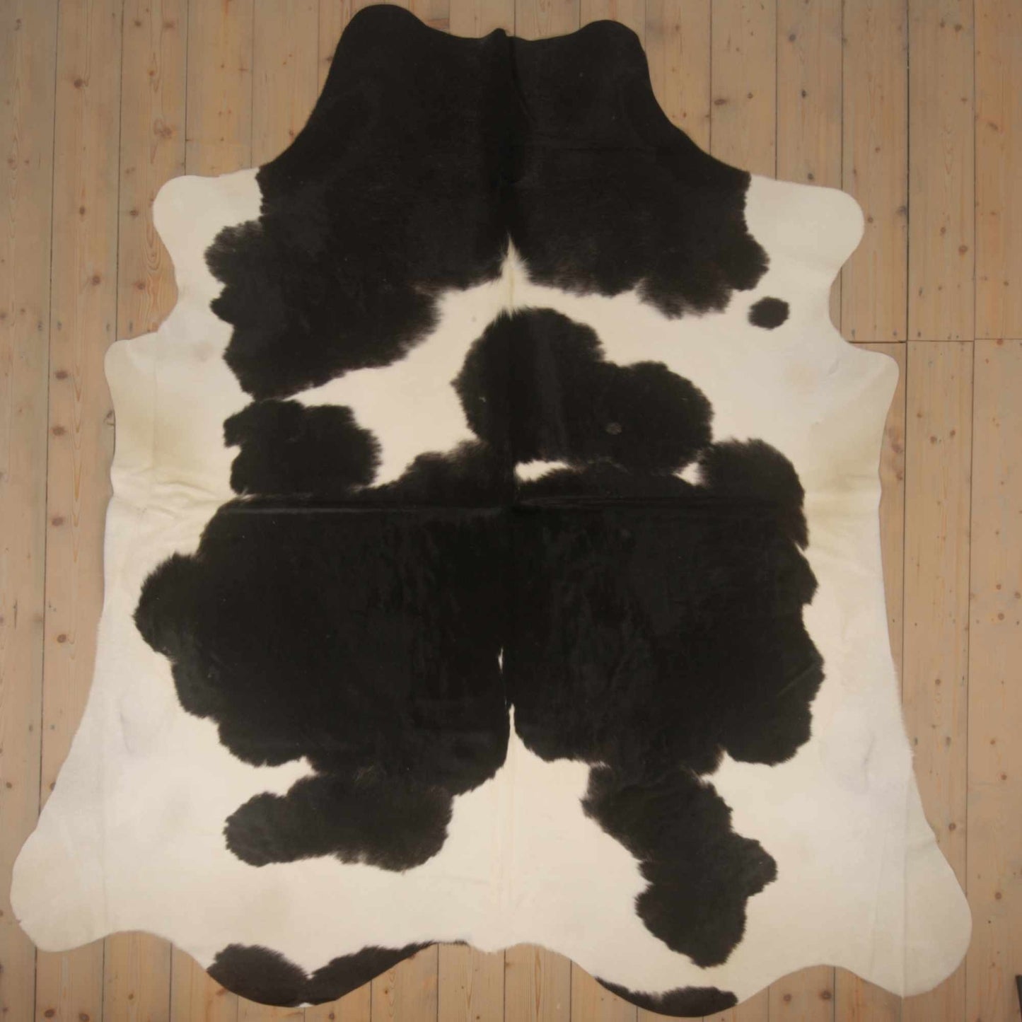 Uniek gefotografeerde zwartbont koeienhuid | ZW-014