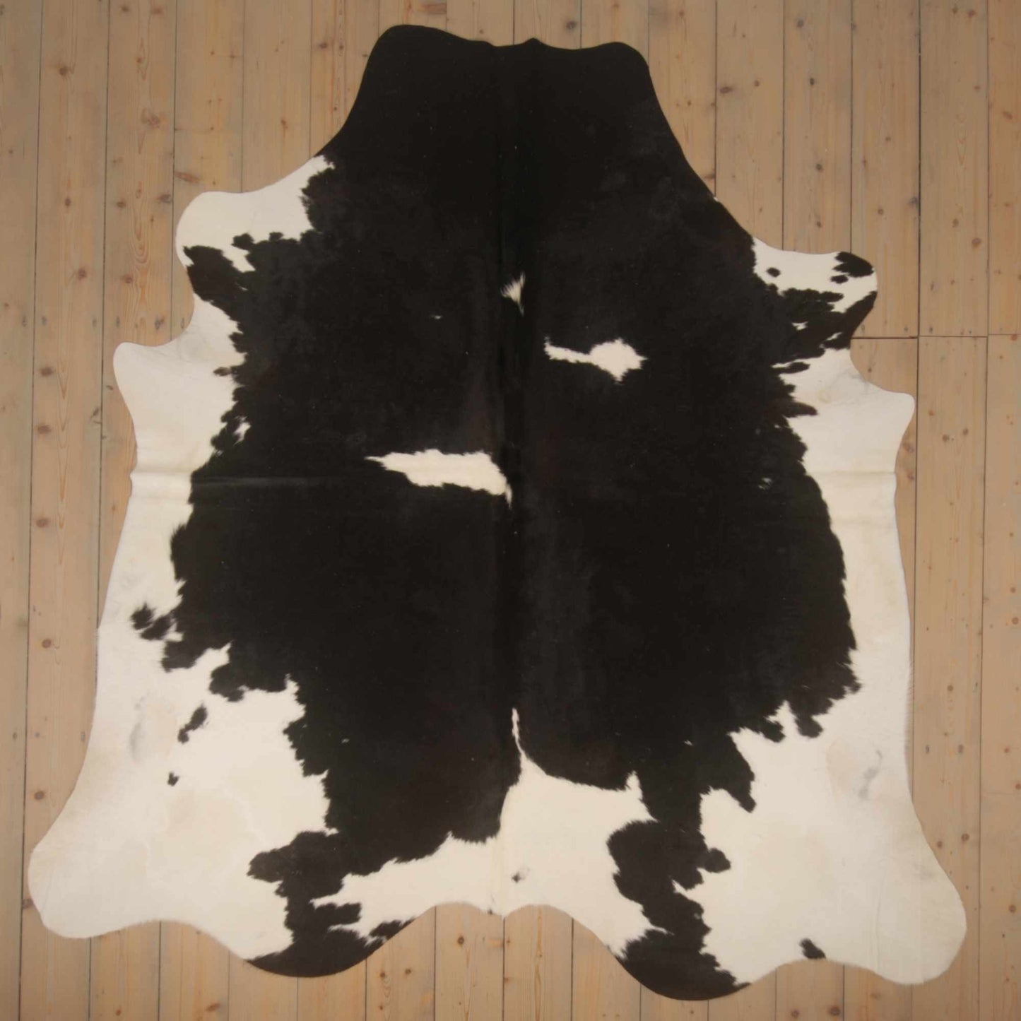 Uniek gefotografeerde zwartbont koeienhuid | ZW-020