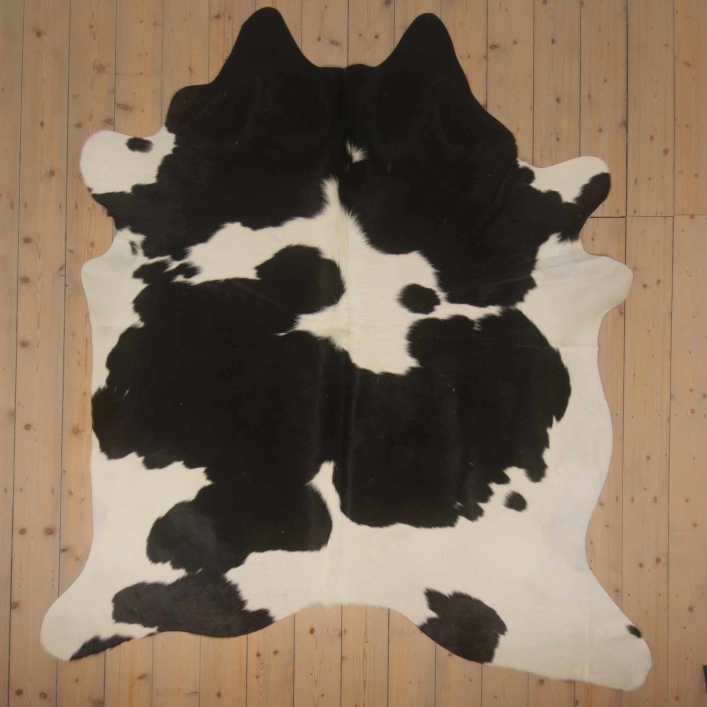 Uniek gefotografeerde zwartbont koeienhuid | ZW-021